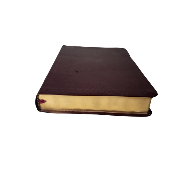 Students Life Application Bible Personal Size New Living Translation Red Leather - Picture 7 of 15